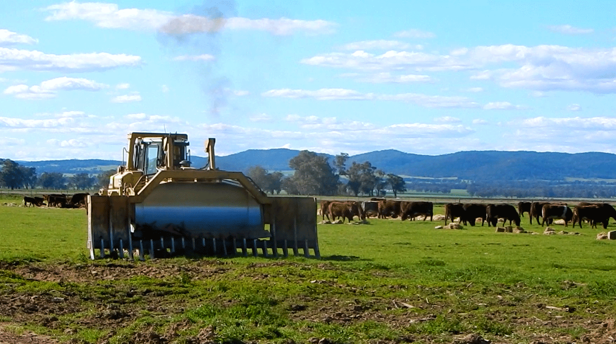 Cowra Earthworks
